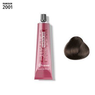 FRAMCOLOR 2001 6EXN - 6.0 | Темный блондин натурально холодный экстра