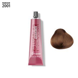 FRAMCOLOR 2001 6W - 6.063 | Темный блондин Iroko